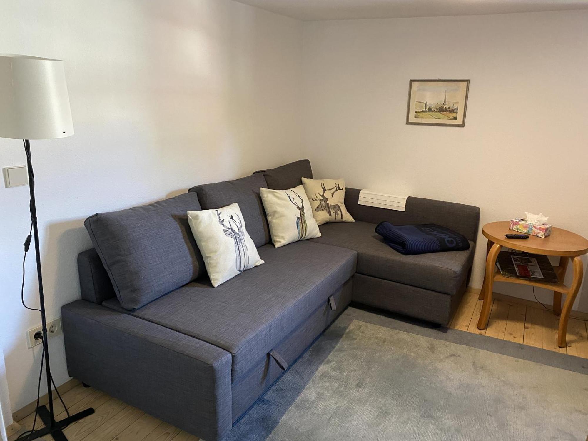 Ferienwohnung Sester Gengenbach Εξωτερικό φωτογραφία