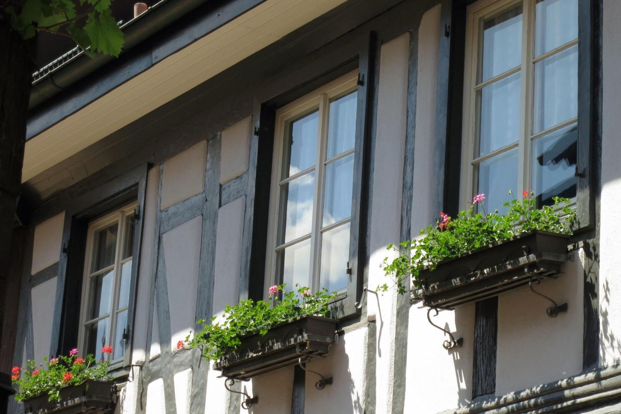Ferienwohnung Sester Gengenbach Εξωτερικό φωτογραφία